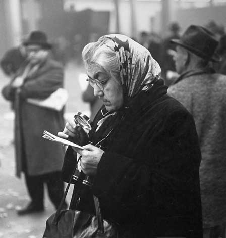 Aqueduct Race Track (Reading the Fine Print)